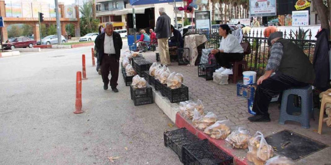 Şimşek ve gök gürültüsünden sonra çıkıyor, tek tek toplanıyor! Ormandan gelen geçim kaynağı: 450 TL’den satılıyor 3